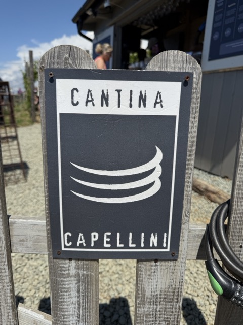 vingården Capellini